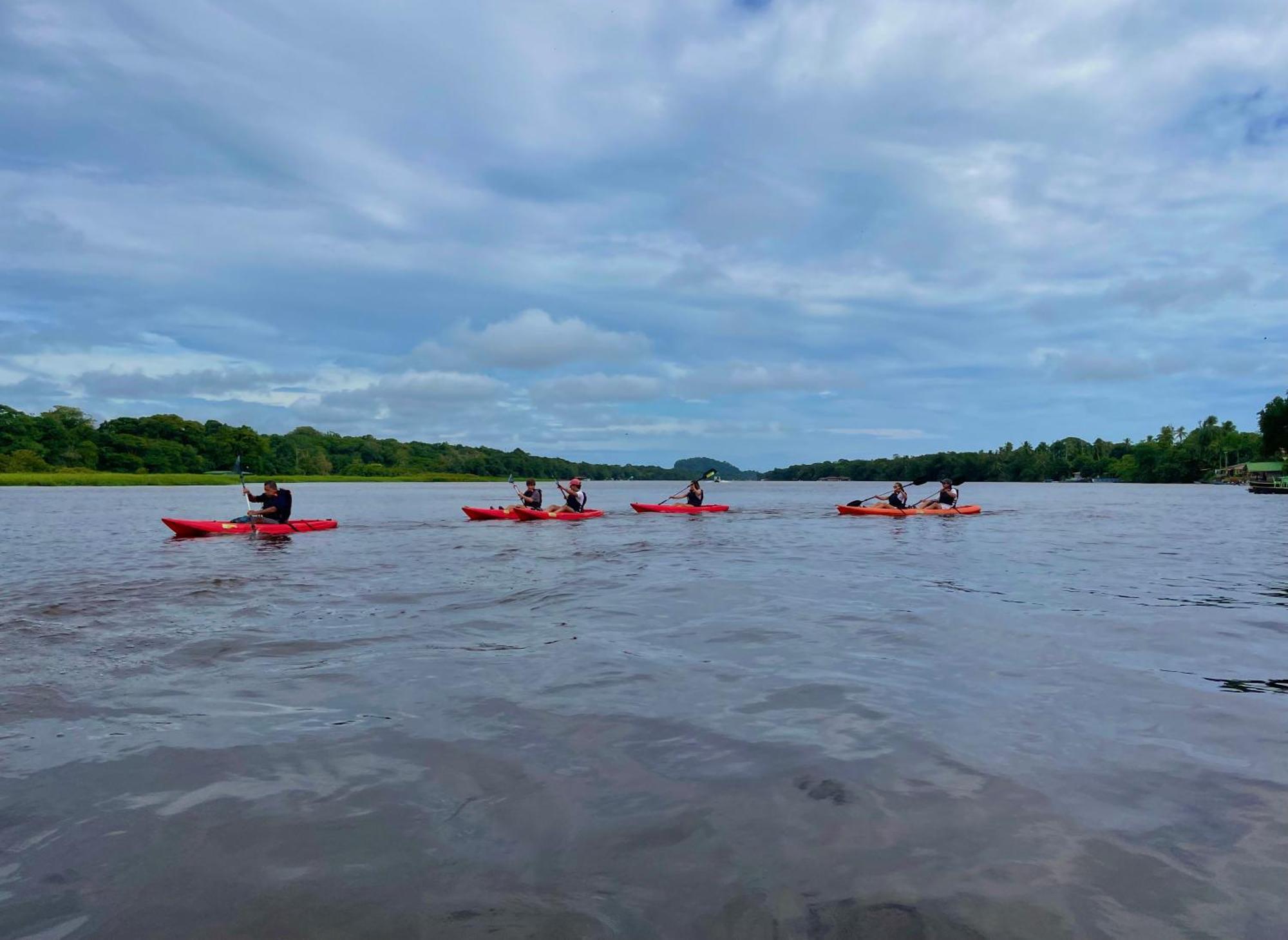 Carey Lodging Tortuguero Luaran gambar