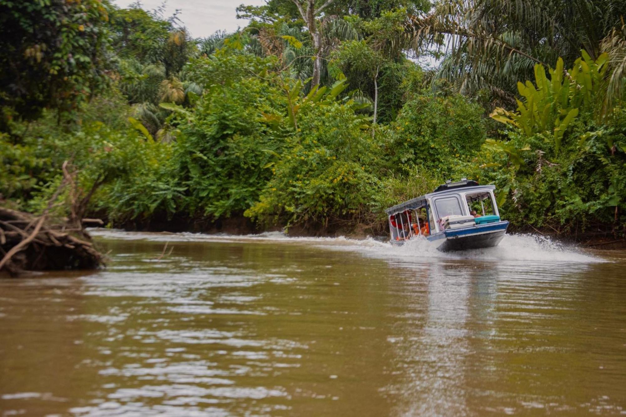 Carey Lodging Tortuguero Luaran gambar