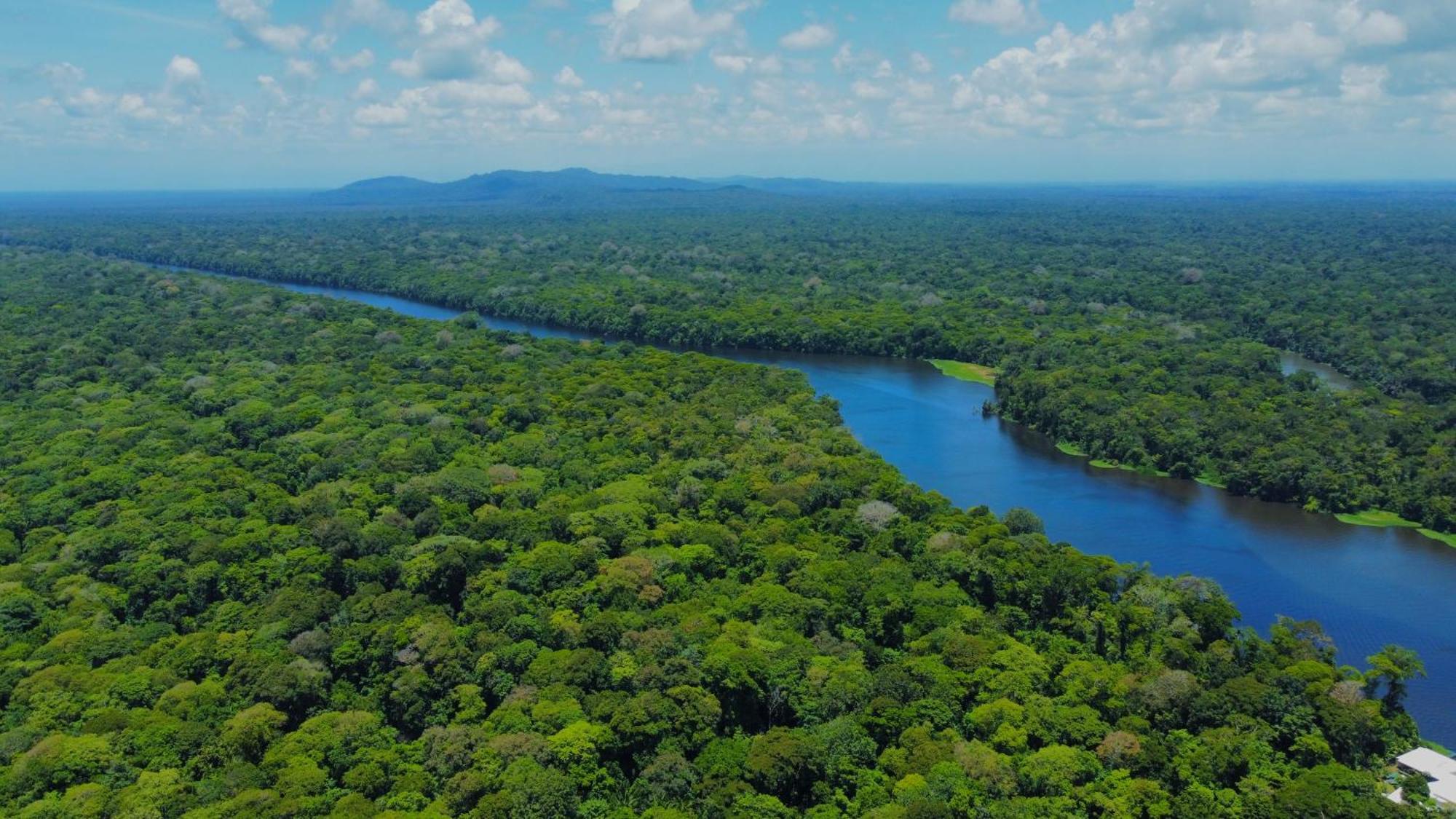 Carey Lodging Tortuguero Luaran gambar