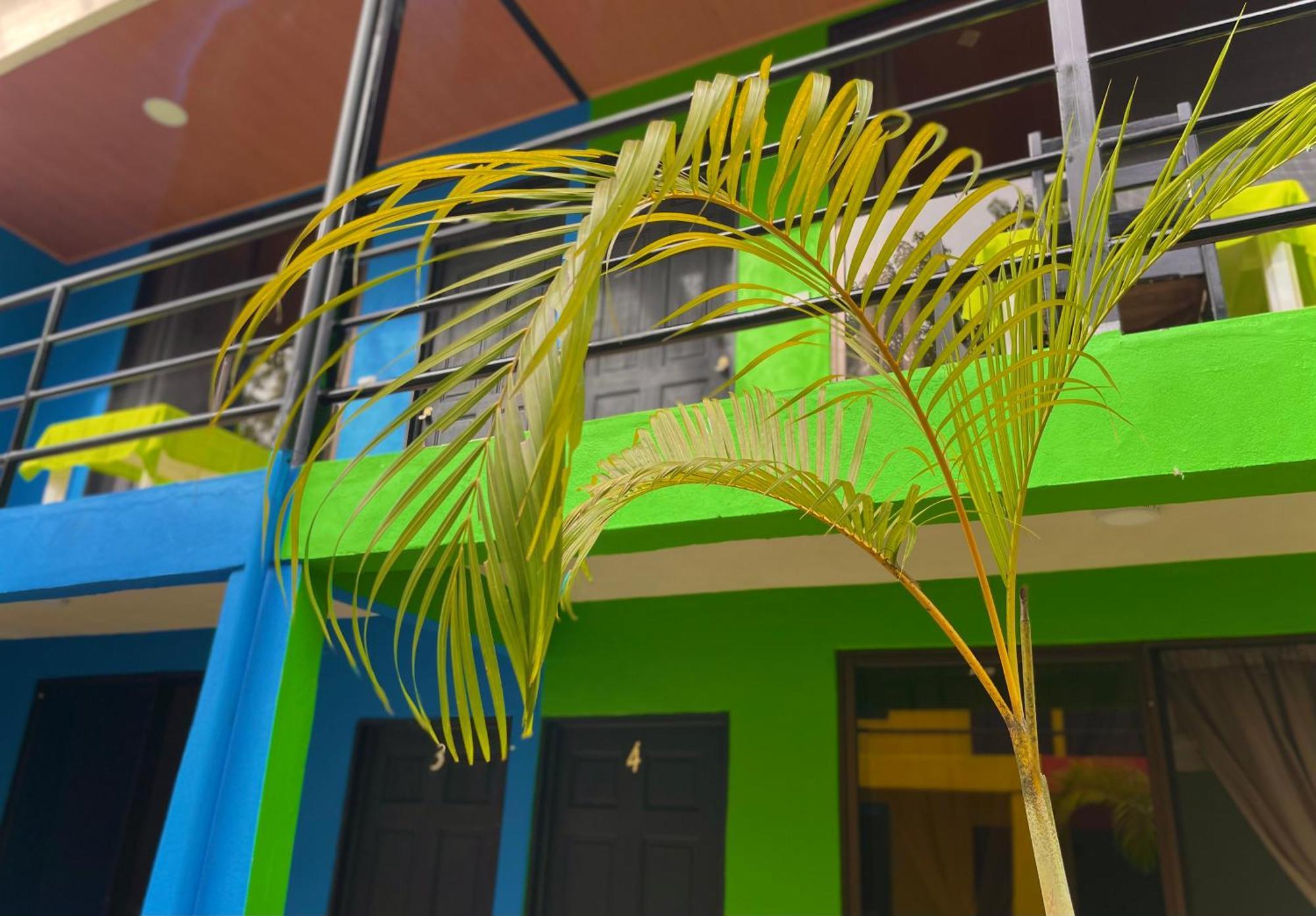 Carey Lodging Tortuguero Luaran gambar