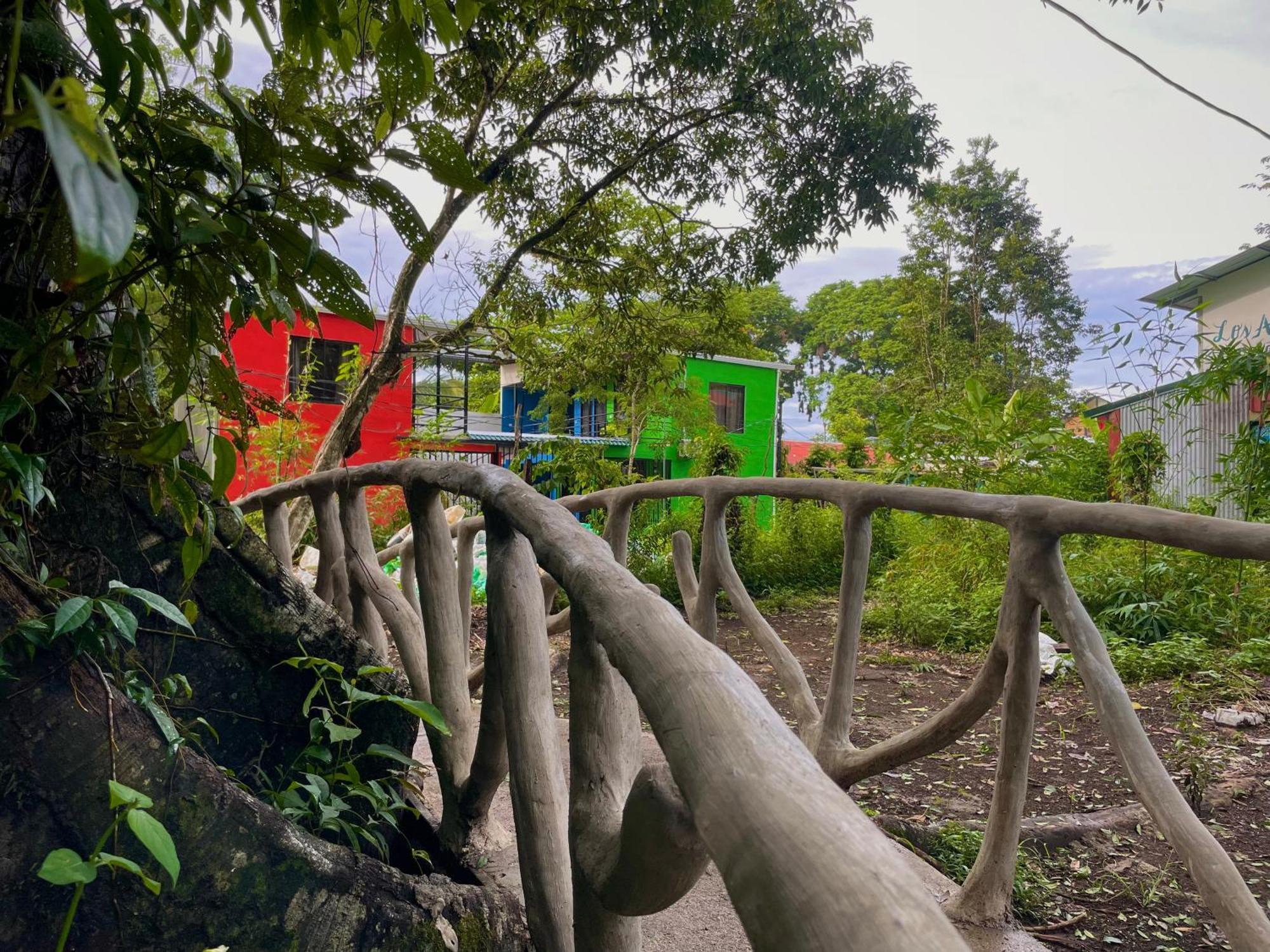 Carey Lodging Tortuguero Luaran gambar
