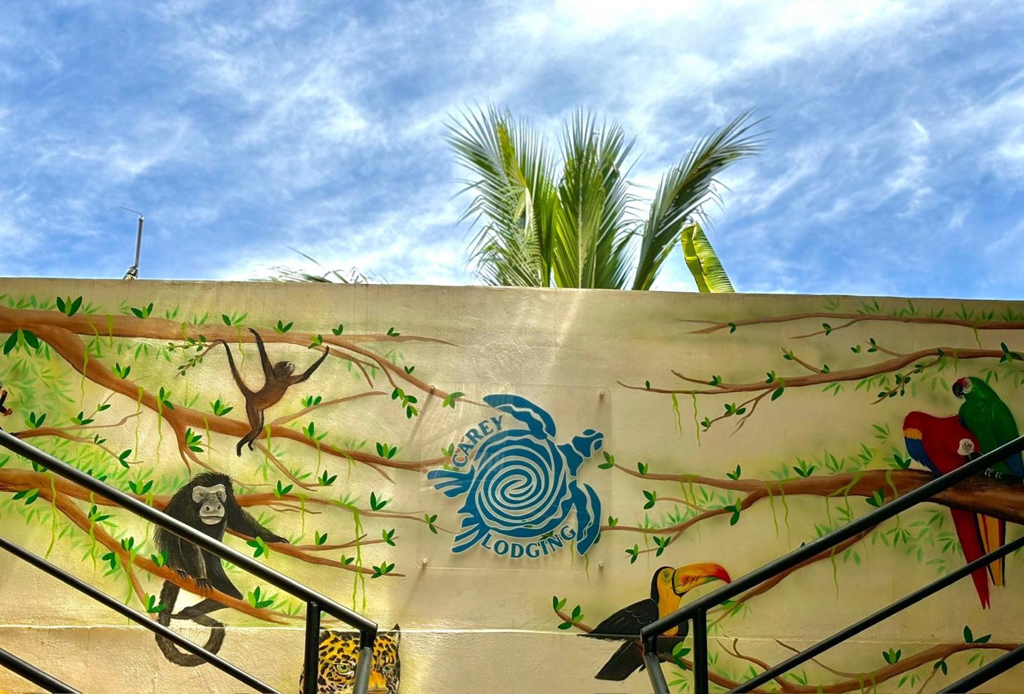 Carey Lodging Tortuguero Luaran gambar