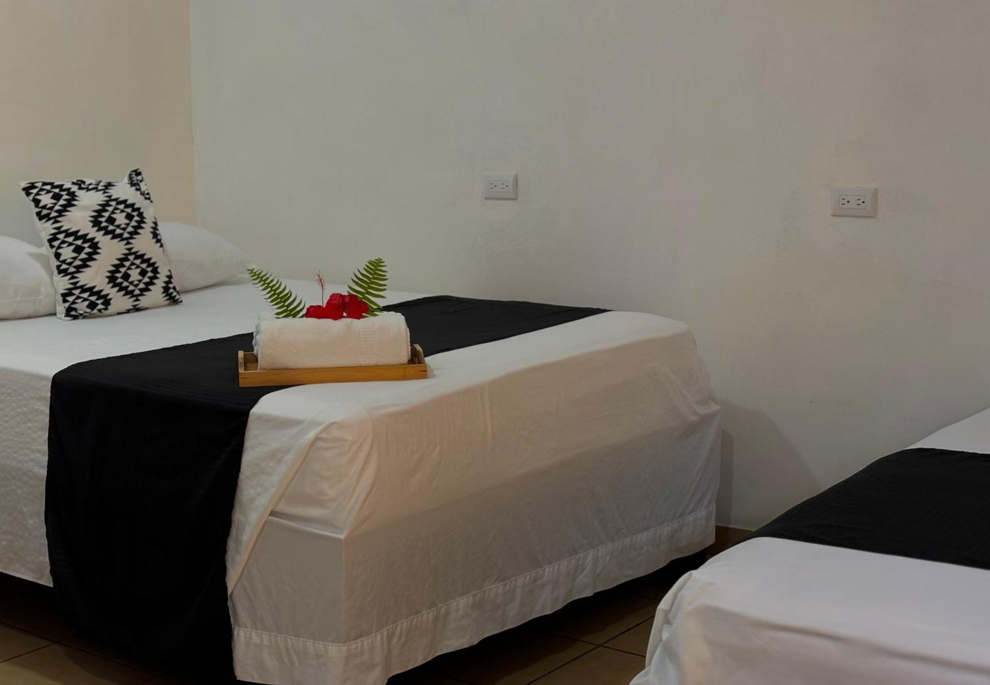 Carey Lodging Tortuguero Luaran gambar